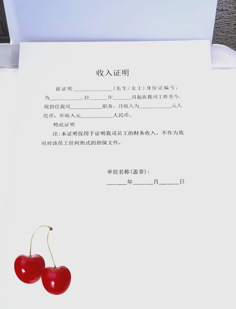 全国代开收入证明的正确姿势：张会计的突围战